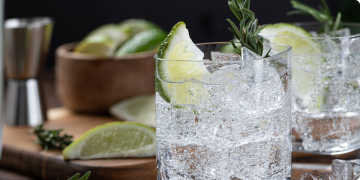 Velkommen til gin-universet hos Vinhuset