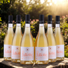 Chateau Clamens Juliette - 2024