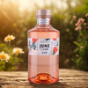 G'Vine June Peach Gin - 70cl - 37,5%