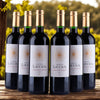 Cháteau Luccius - Lussac Saint-Emilion - 2021