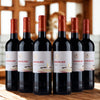 Bodegas Navajas - Young Red - Rioja - 2024🥈
