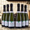 Champagne Bauser - Chardonnay