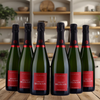 Vincent Delouvin - Champagne - Pur Meunier