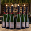 Vincent Delouvin - Champagne  - Nature