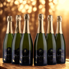 Sylvain Dautel -  Champagne - Selection